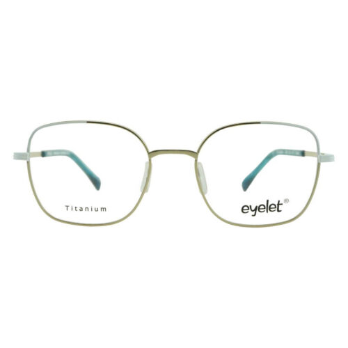 BIM-D8 Titanium Eyewear Frame