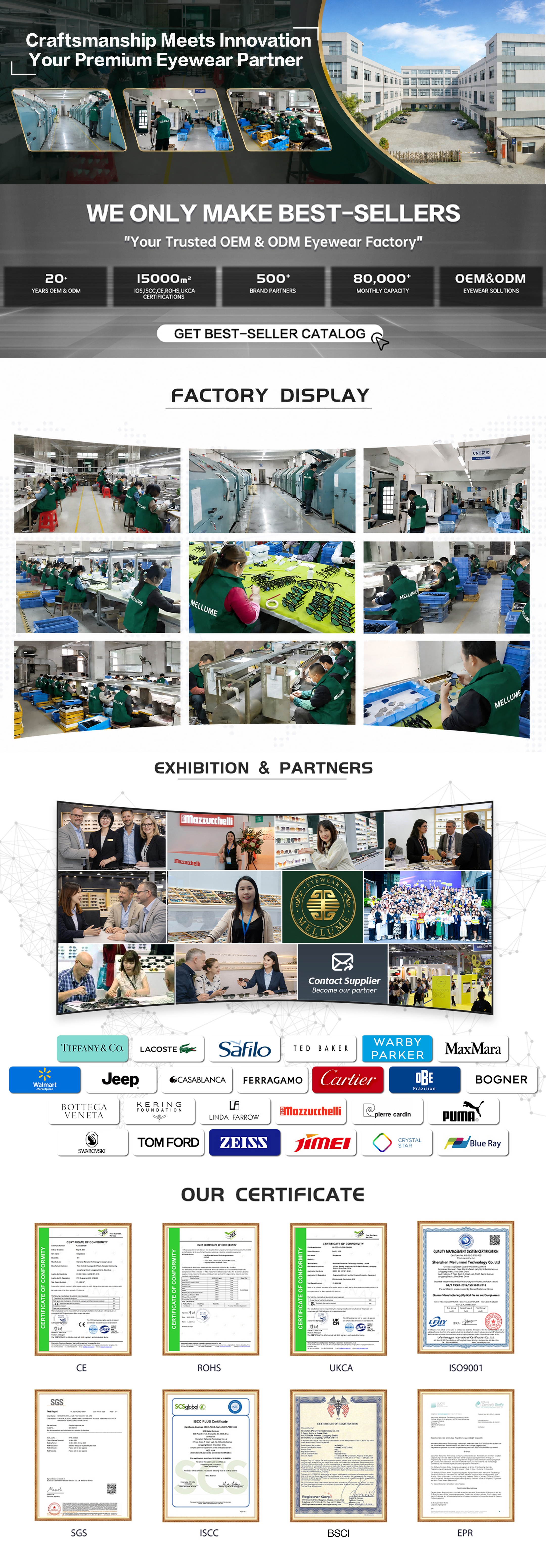 Company Showcase