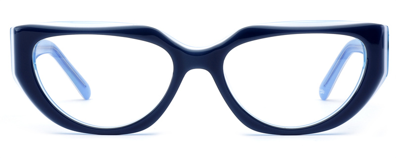 Eyewear Frame View