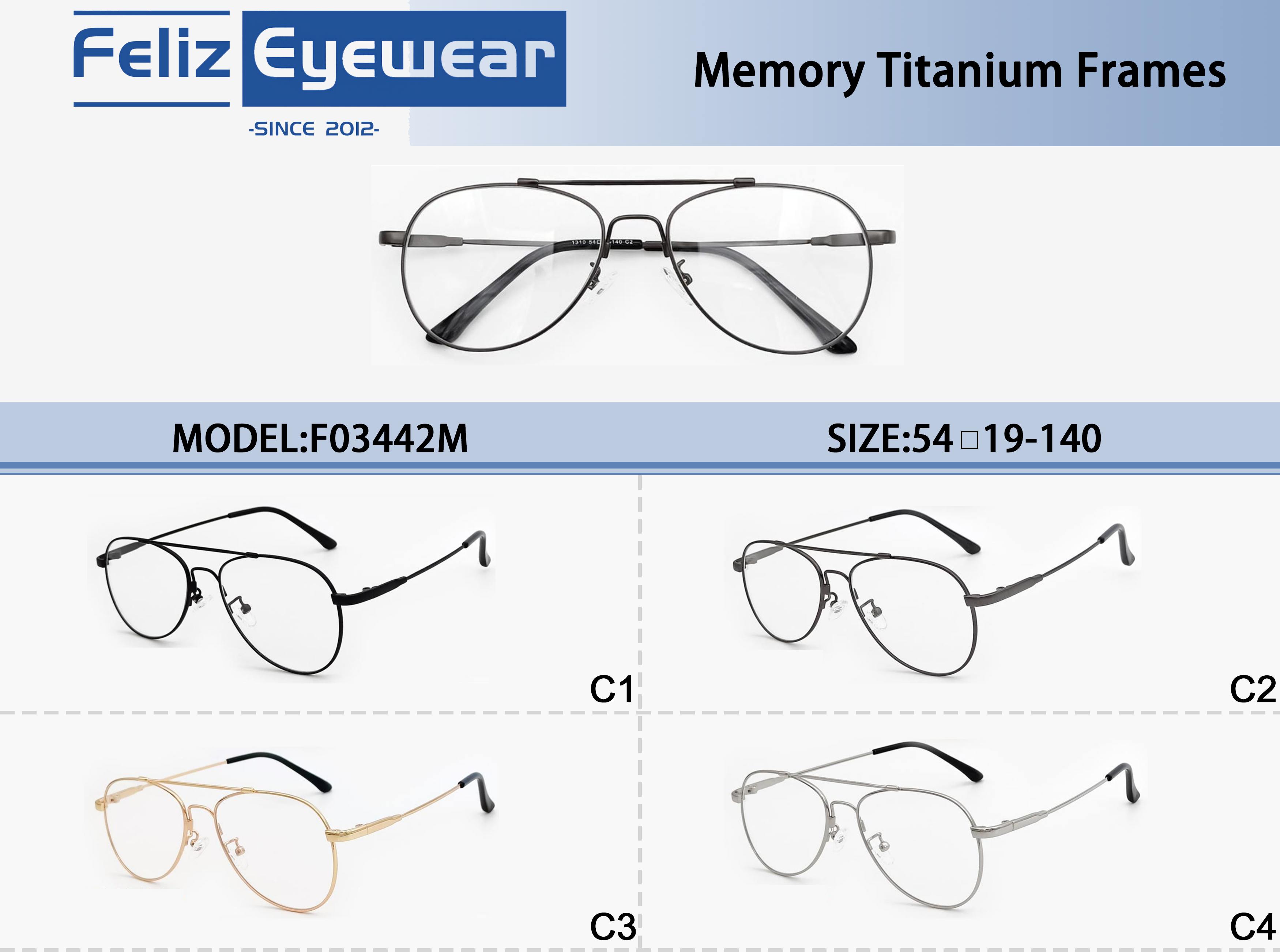 Memory Titanium Optical Frames