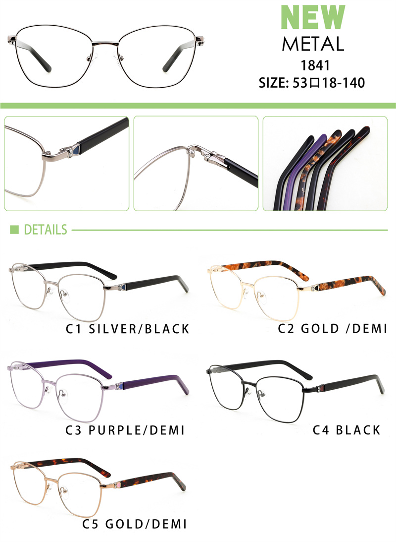 Eyewear Spring Detail