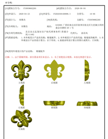 Design Patent 1