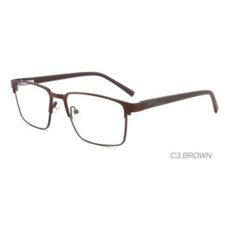 Glasses Structure and Hinge Detail
