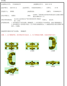 Design Patent 3