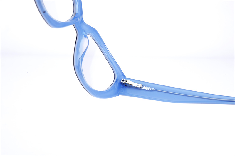 Eyewear Model View