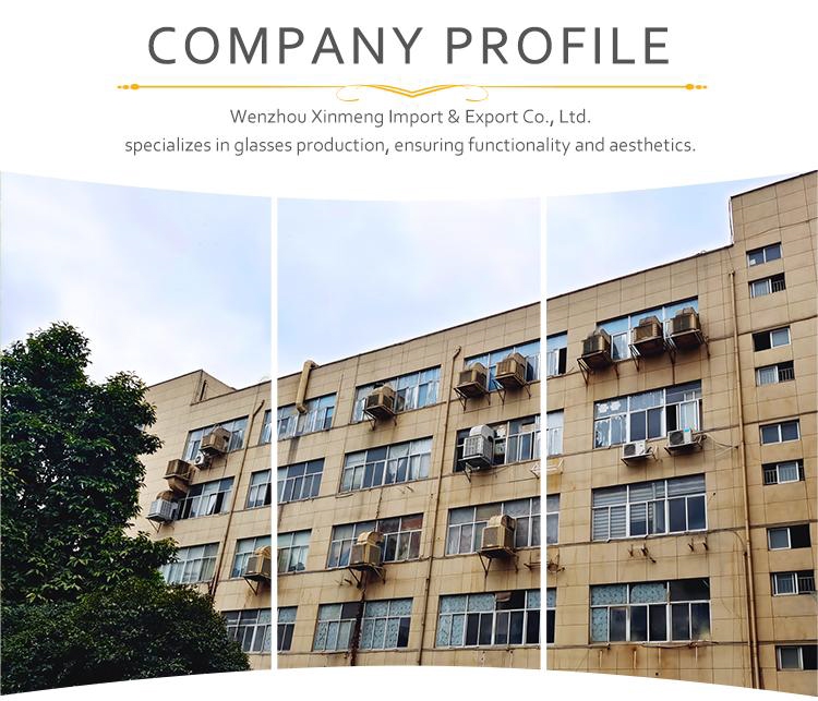 Company Introduction