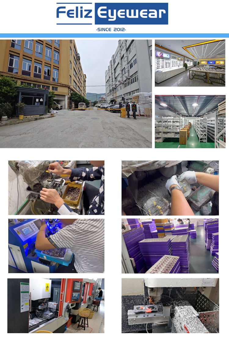 Feliz Eyewear Facility