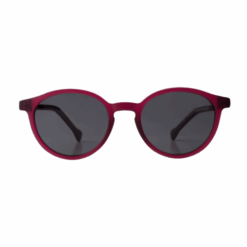 ECLAIR-C3 LEAP Kids Flexible Sunglasses